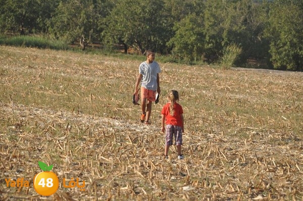 7amam lud monir 908 (63).JPG